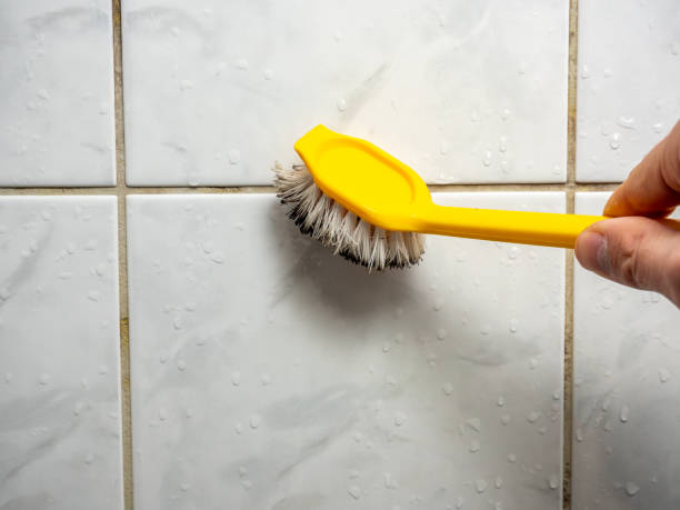 Best Localized Mold Remediation (e.g., coastal areas, humid climates) in Rincon, GA