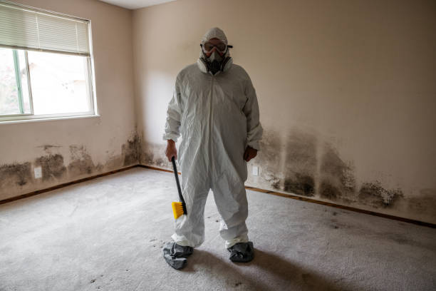 Best Residential Mold Remediation in Rincon, GA